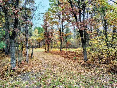 V/L 3.85AC Brown Rd #3.85 ACRES, Cadillac, MI 49601