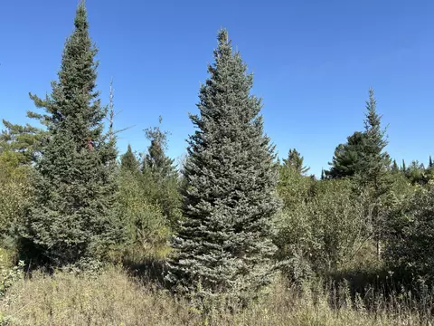 V/L 20AC Milligan Highway #20 ACRES+/-, Onaway, MI 49765