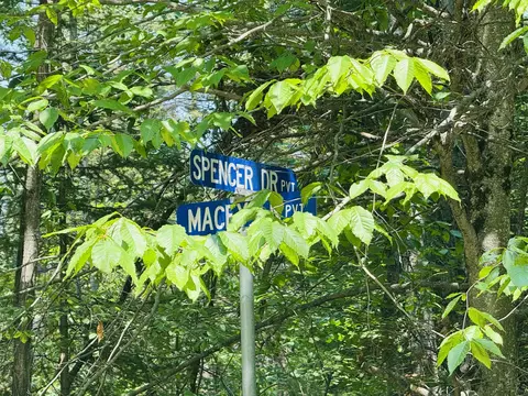 V/L 8.39AC Macey Lane #8.39 ACRES, Alpena, MI 49707