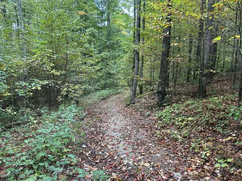 V/L Par K Beaver Trail #PARCEL K, Mancelona, MI 49659
