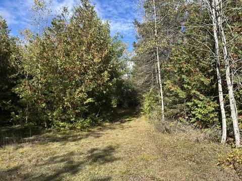 V/L Dubey Road #40 ACRES, Alpena, MI 49707