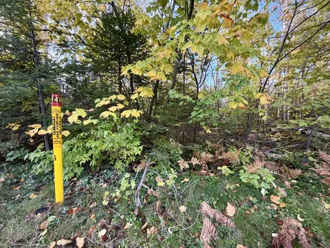 12074 Us-23 Hwy #3.76 ACRES, Cheboygan, MI 49721
