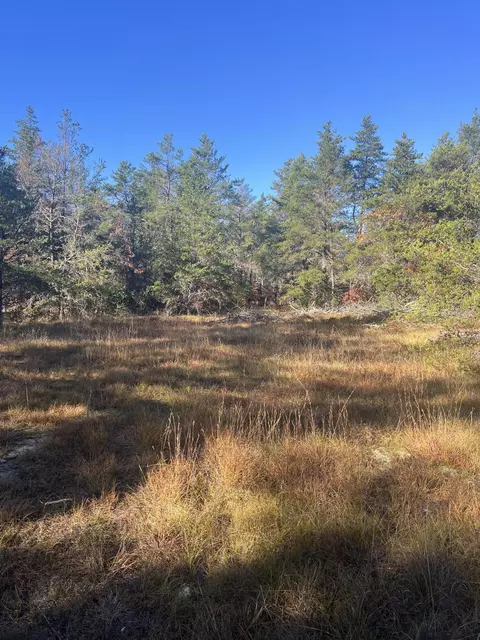 V/L 26.90A S Old 27 #26.90 ACRES, Grayling, MI 49738