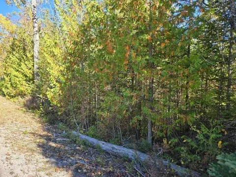 cedar terrace road LOT S 113 & 111, Presque Isle, MI 49777