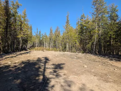 V/L 18.05A French Road #18.05 ACRES, Alpena, MI 49707