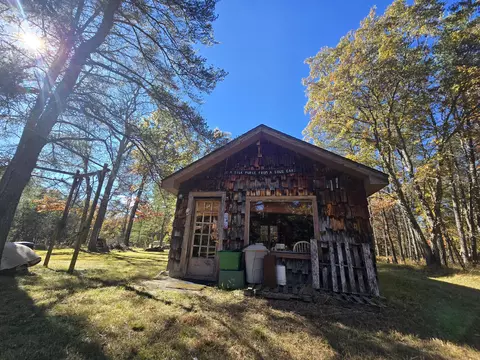 V/L 1AC Pine Trail #1 ACRE, Curran, MI 48728