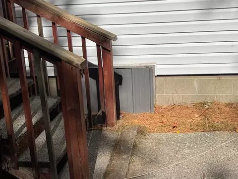 Other - 4593 Orbit Dr, Grayling, MI 49738 photo 12 of 23