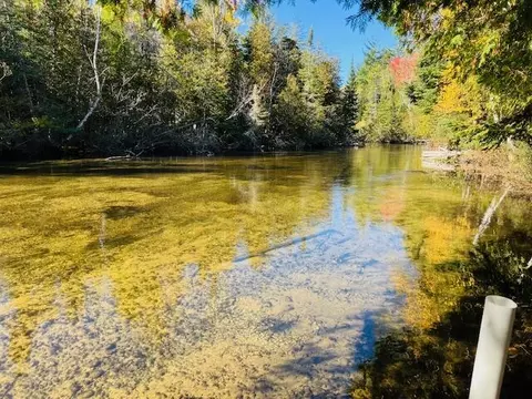 View/Area - 4593 Orbit Dr, Grayling, MI 49738 photo 3 of 4