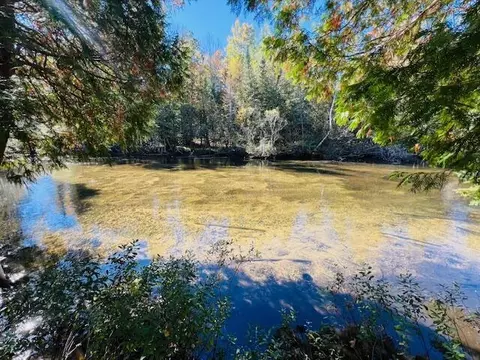 View/Area - 4593 Orbit Dr, Grayling, MI 49738 photo 1 of 4