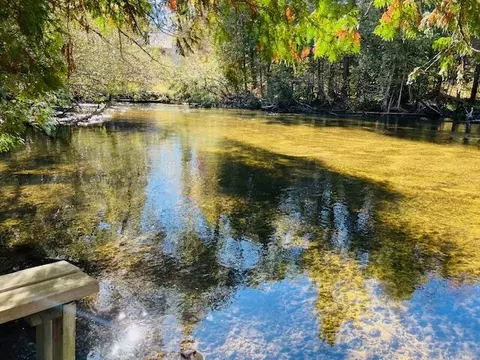 View/Area - 4593 Orbit Dr, Grayling, MI 49738 photo 4 of 4