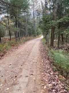 V/l Lot 23 Blue Springs Trail, Falmouth, MI 49632