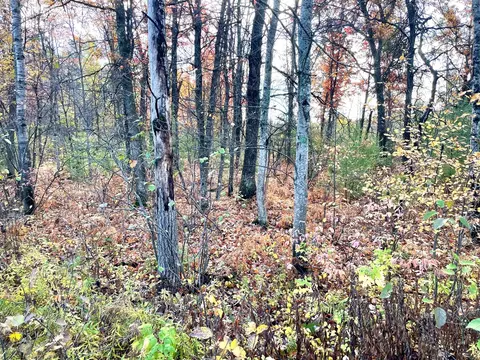 10 W Acres W Fletcher Rd, Roscommon, MI 48653