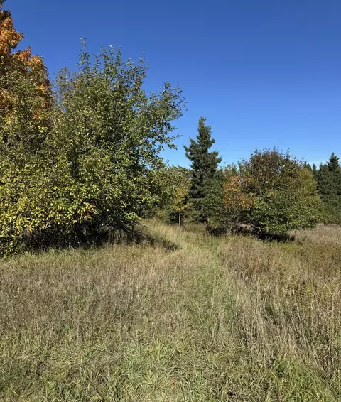 V/l 40ac County Road 98, Mcmillan, MI 49853