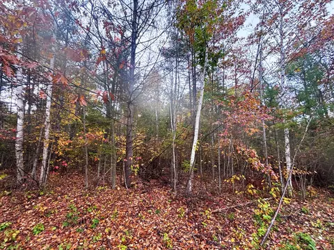 L 292-293 Pineview Drive #S 292-293, Presque Isle, MI 49777