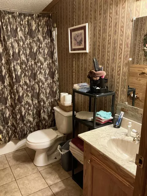 Bath - 2563 Delano Rd, Comins, MI 48619 photo 2 of 4