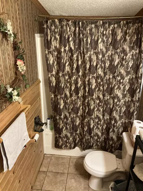 Bath - 2563 Delano Rd, Comins, MI 48619 photo 1 of 4