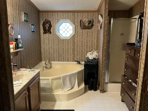 Bath - 2563 Delano Rd, Comins, MI 48619 photo 3 of 4