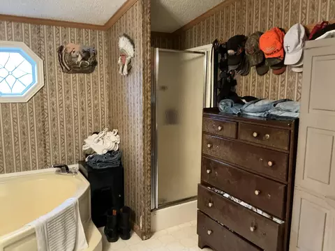 Bath - 2563 Delano Rd, Comins, MI 48619 photo 4 of 4