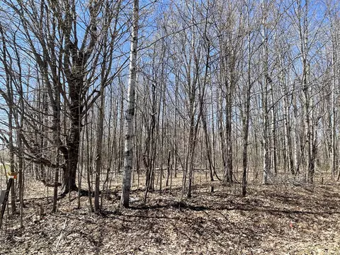 V/l Lot 78 Montrose Drive, Mancelona, MI 49659