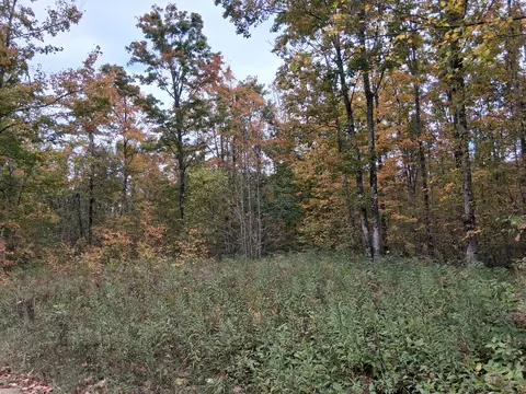 V/l 20ac Webster Road, Elmira, MI 49730