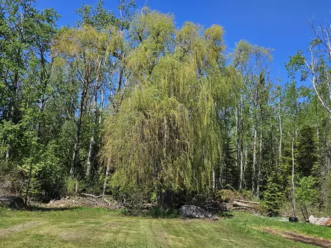 1334 N Cedar St, Rogers City, MI 49779