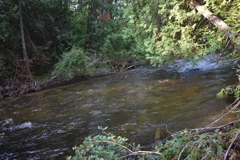 8993 South Straits Highway, Wolverine, MI 49799