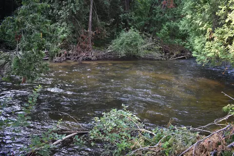 A, B, C, D S Straits Highway #PARCELS A, B, C, D, Wolverine, MI 49799