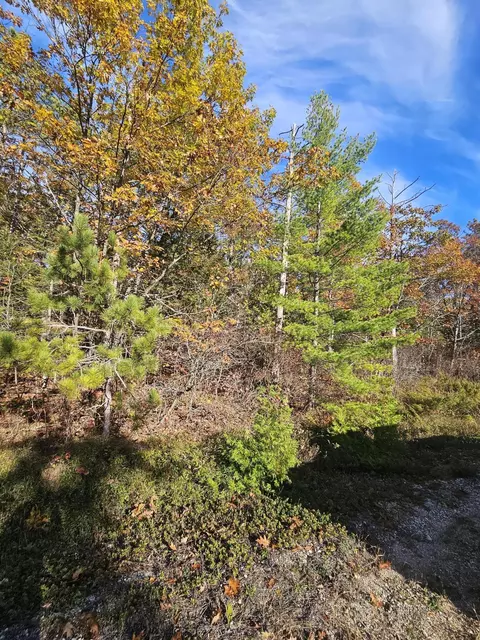 V/L 0.38 A Highland Pines Road #414, Presque Isle, MI 49777