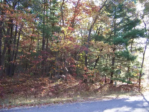 lot566 Winding Dr, Houghton Lake, MI 48629