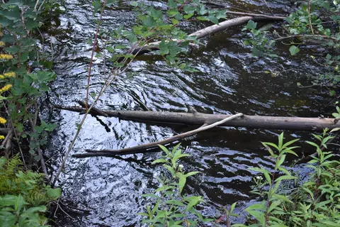 B And C S Straits Highway, Wolverine, MI 49799