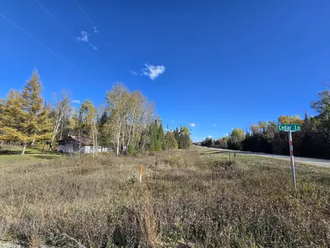 1950 Ryno Rd, Luzerne, MI 48636 photo 50