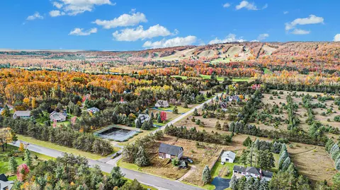 80 Pleasant Valley Dr, Harbor Springs, MI 49740