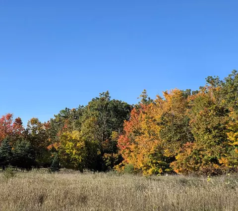 11080 Wolf Creek Rd, Hubbard Lake, MI 49747