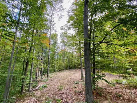 15100 15 Rue Du Chevreuil Lots 74 75 76 #LOT S 74, 75, 76, Wolverine, MI 49799