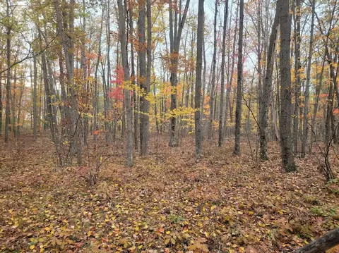V/l 5acres W North Down River Road, Grayling, MI 49738