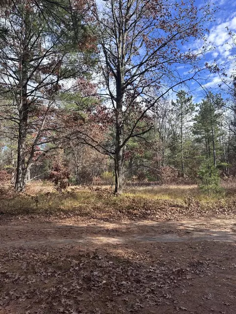 Other - 335 Wilcox Dr, Mio, MI 48647 photo 9 of 9