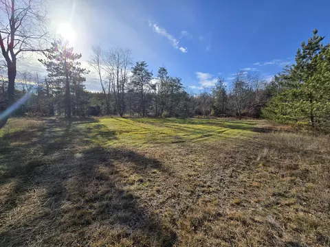 Exterior - 1151 Cedar Run Rd, Mio, MI 48647 photo 18 of 37