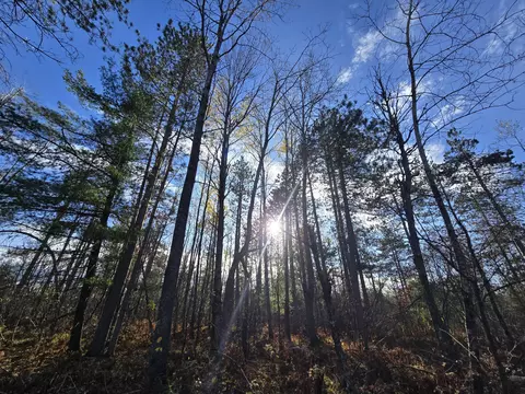 Other - 1151 Cedar Run Rd, Mio, MI 48647 photo 14 of 20
