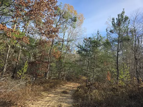 Other - 1151 Cedar Run Rd, Mio, MI 48647 photo 7 of 20