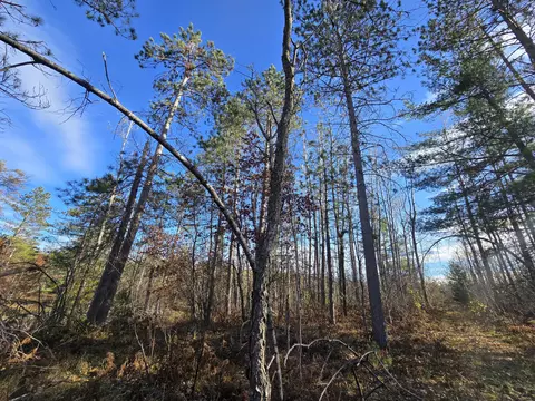 Exterior - 1151 Cedar Run Rd, Mio, MI 48647 photo 31 of 37