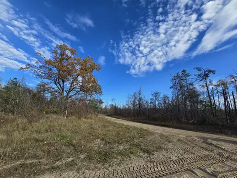 Other - 1151 Cedar Run Rd, Mio, MI 48647 photo 20 of 20