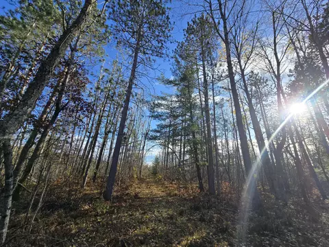 Exterior - 1151 Cedar Run Rd, Mio, MI 48647 photo 32 of 37