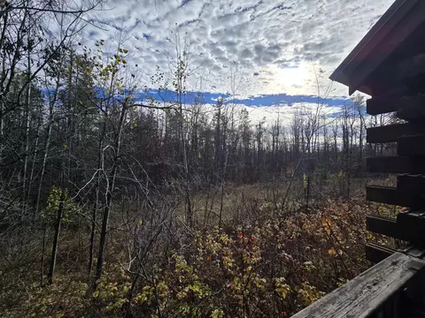 Exterior - 1151 Cedar Run Rd, Mio, MI 48647 photo 3 of 37