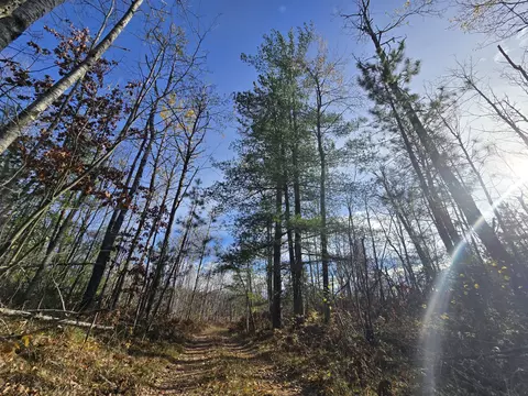 Other - 1151 Cedar Run Rd, Mio, MI 48647 photo 8 of 20