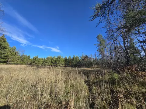 Exterior - 1151 Cedar Run Rd, Mio, MI 48647 photo 20 of 37