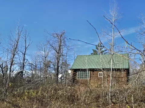 Exterior - 1151 Cedar Run Rd, Mio, MI 48647 photo 7 of 37