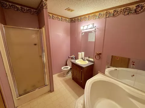 Bath - 10285 Scanlon Dr, Cheboygan, MI 49721 photo 4 of 4