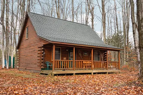 4232 Snowridge Trl, Elmira, MI 49730