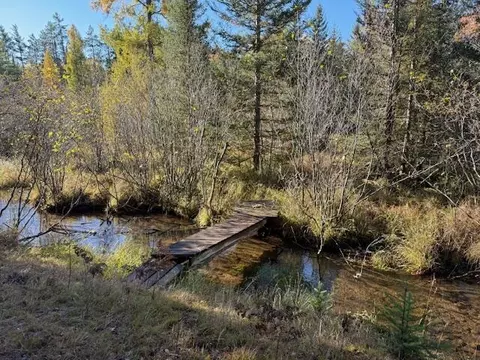V/L 5.79A Long Shaw Trail #5.79 ACRES, Grayling, MI 49738
