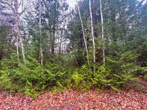 lot14 E Grand Lake Rd, Presque Isle, MI 49777